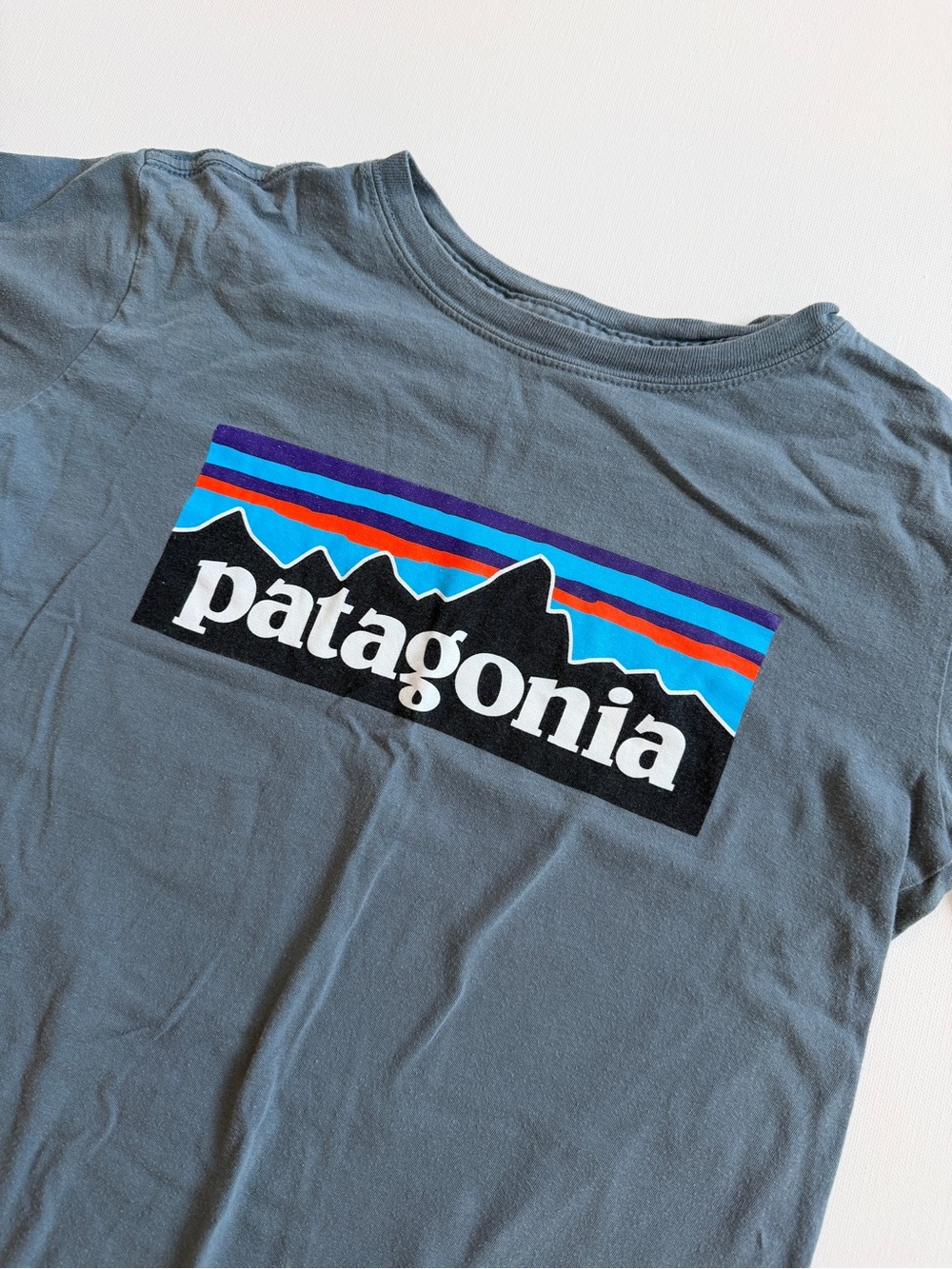 Patagonia Kids Short Sleeve Logo Tee in Slate Blue-Gray with Multicolor Stripe